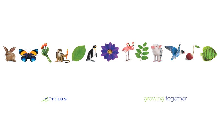 TELUS growing together