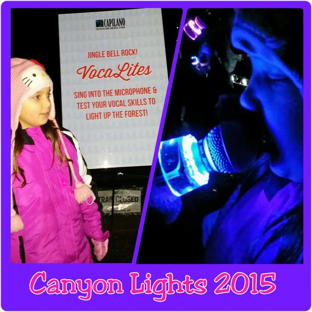 Canyon lights