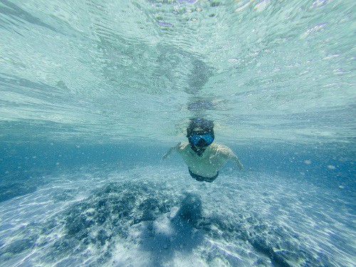 4 Tips for New Snorkelers
